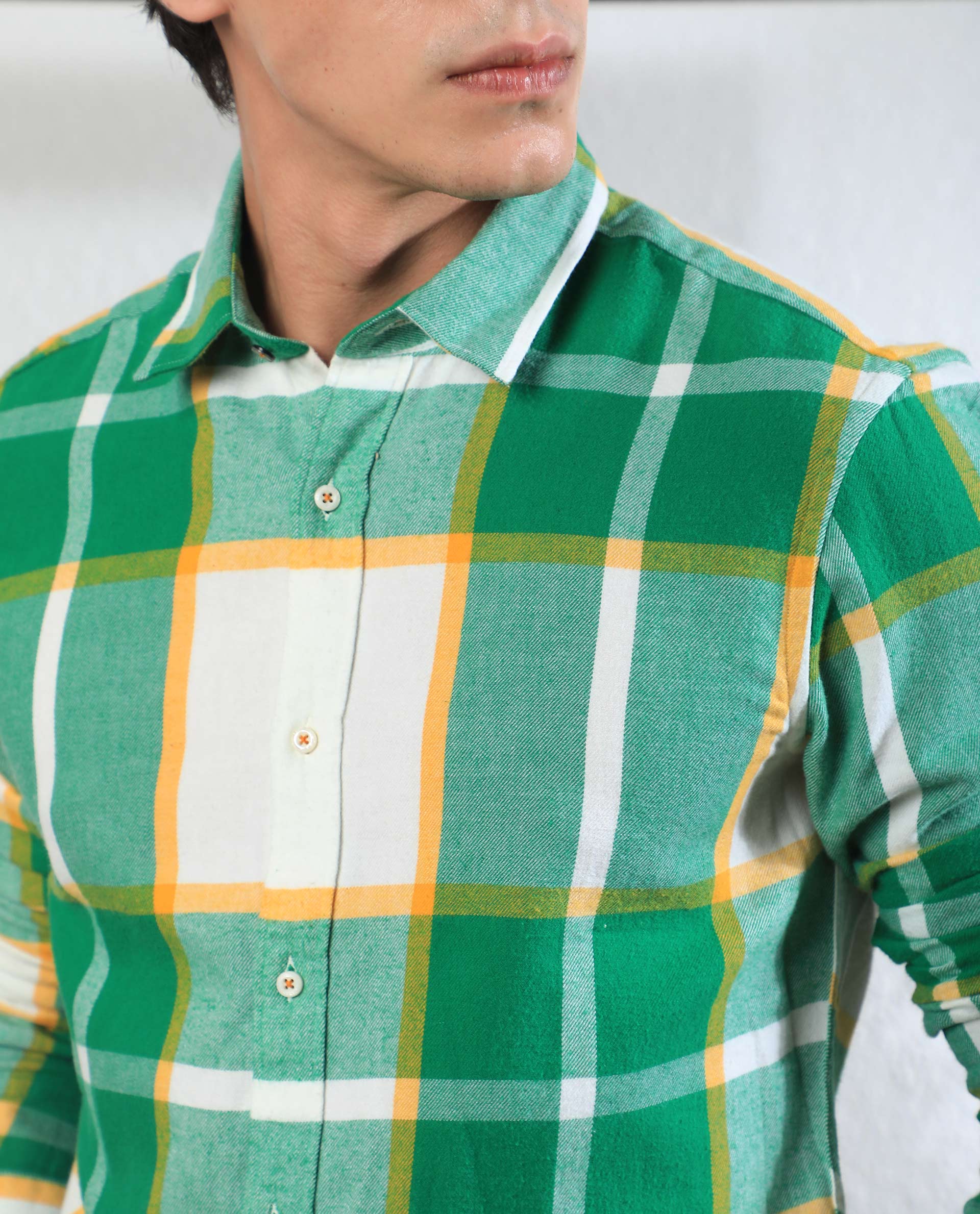 Rare Rabbit Men's Rayo Green Cotton Checked Print Regular Fit Full Sleeve Collared Shirt - Image 5